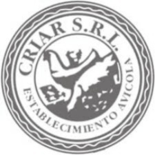 Criar S.R.L