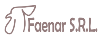 Faenar S.R.L