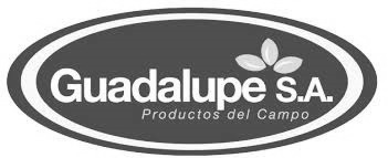 Guadupe